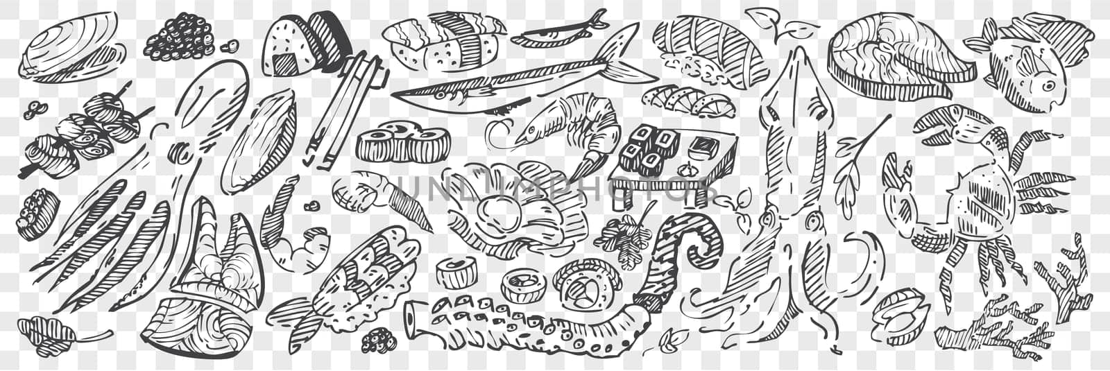 Hand drawn sea food doodle set. Collection of pencil chalk drawing sketches of sushi lobster squid caviar mussels octopus and ocean fish on transparent background. Exotic marine dishes illustration.