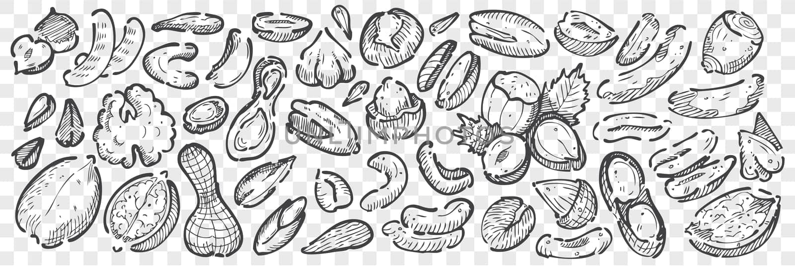 Hand drawn nuts doodle set. Collection pencil chalk drawing sketches of almond cashews macadamia peanuts cedar pistachios hazelnuts walnuts seeds on transparent background. Natural food illustration.
