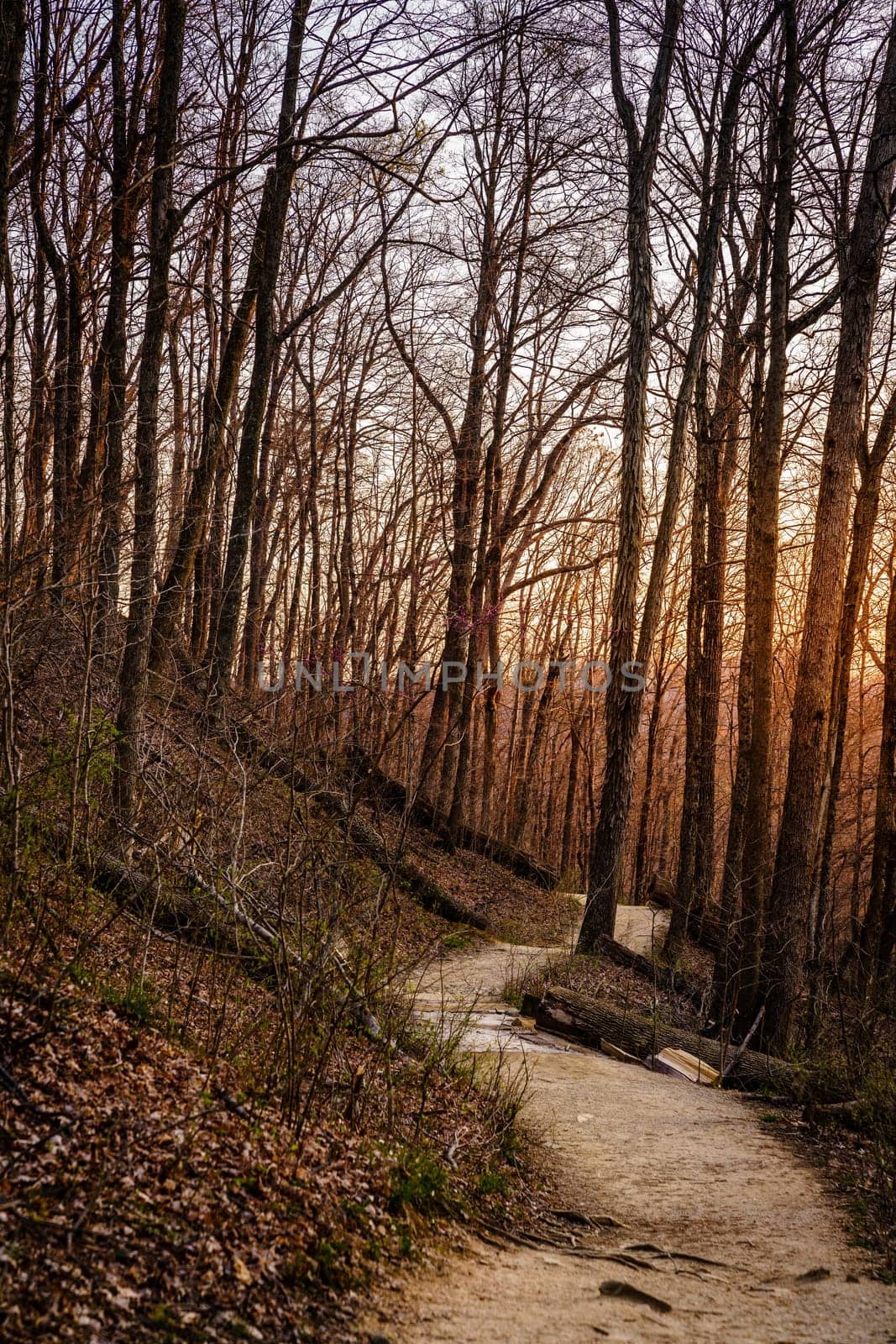 Hiking trail at the Pinnacles in Berea, Kentucky