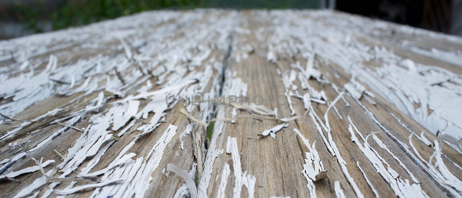 White paint peeling off over wooden surface. Closeup