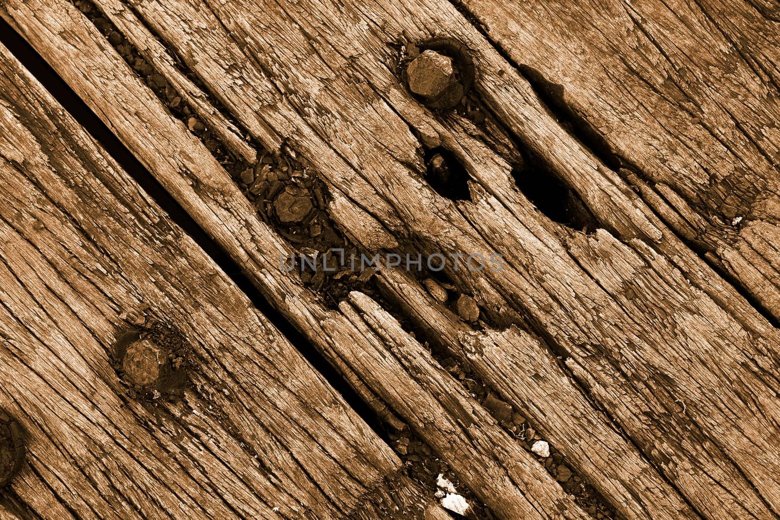the brown wood texture with natural patterns close up