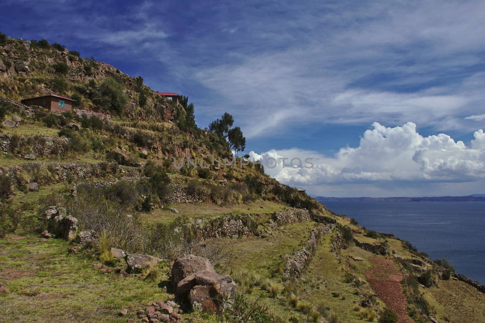 A view of the terraces on Taquile Island, Lake Titicaca, Peru, South America