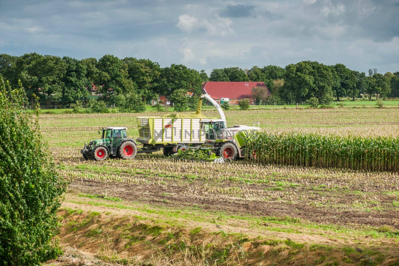 Esens, Germany - October 07, 2020: Distant view of two perfectly working together corn harvesters consisting of a corn chopper and a tractor with a tipping trailer under a cloudy sky.