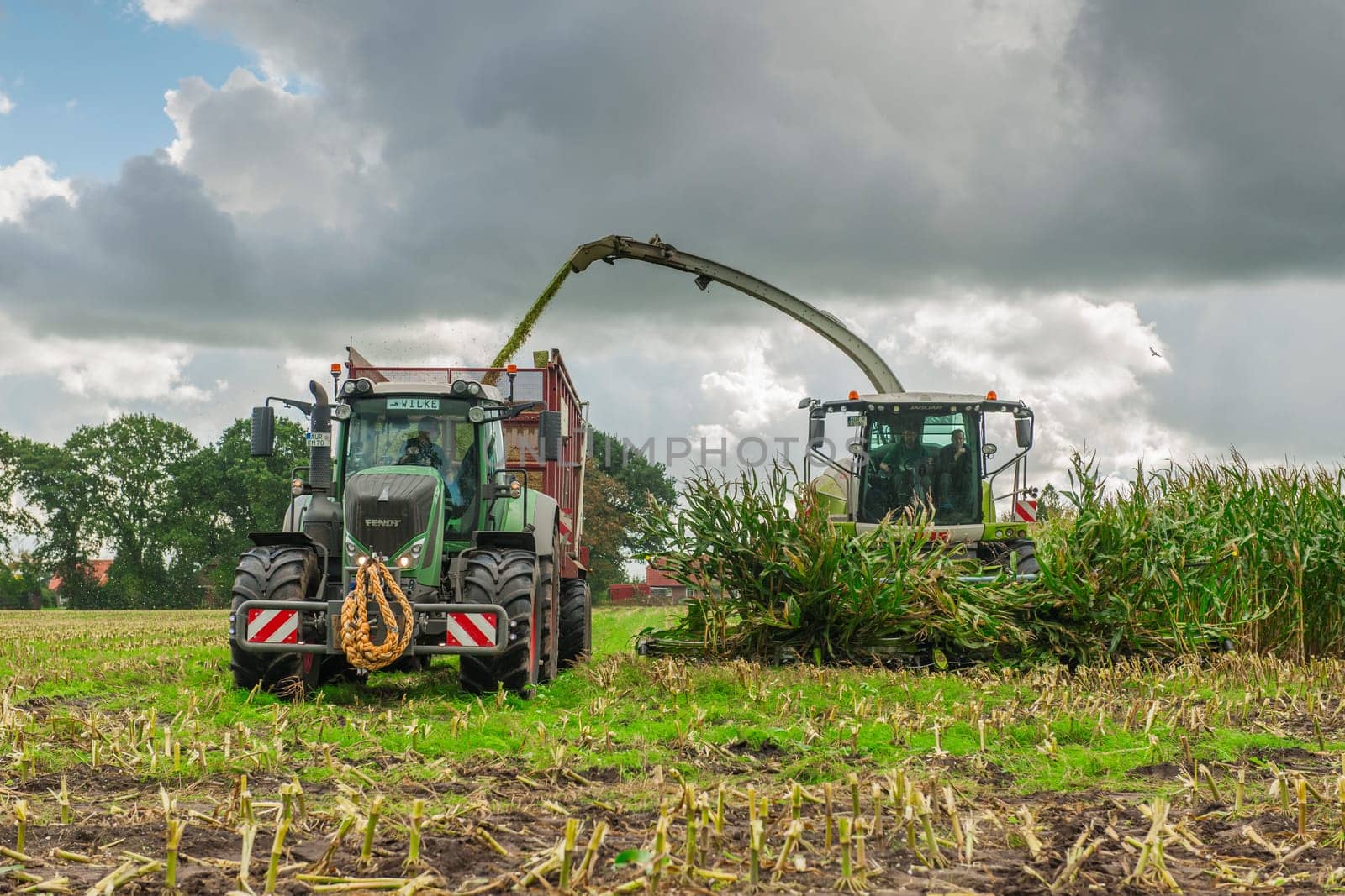 Esens, Germany - October 07, 2020: Corn harvesters consisting of corn chopper and tractor with tipping trailer under a heavily cloudy sky.