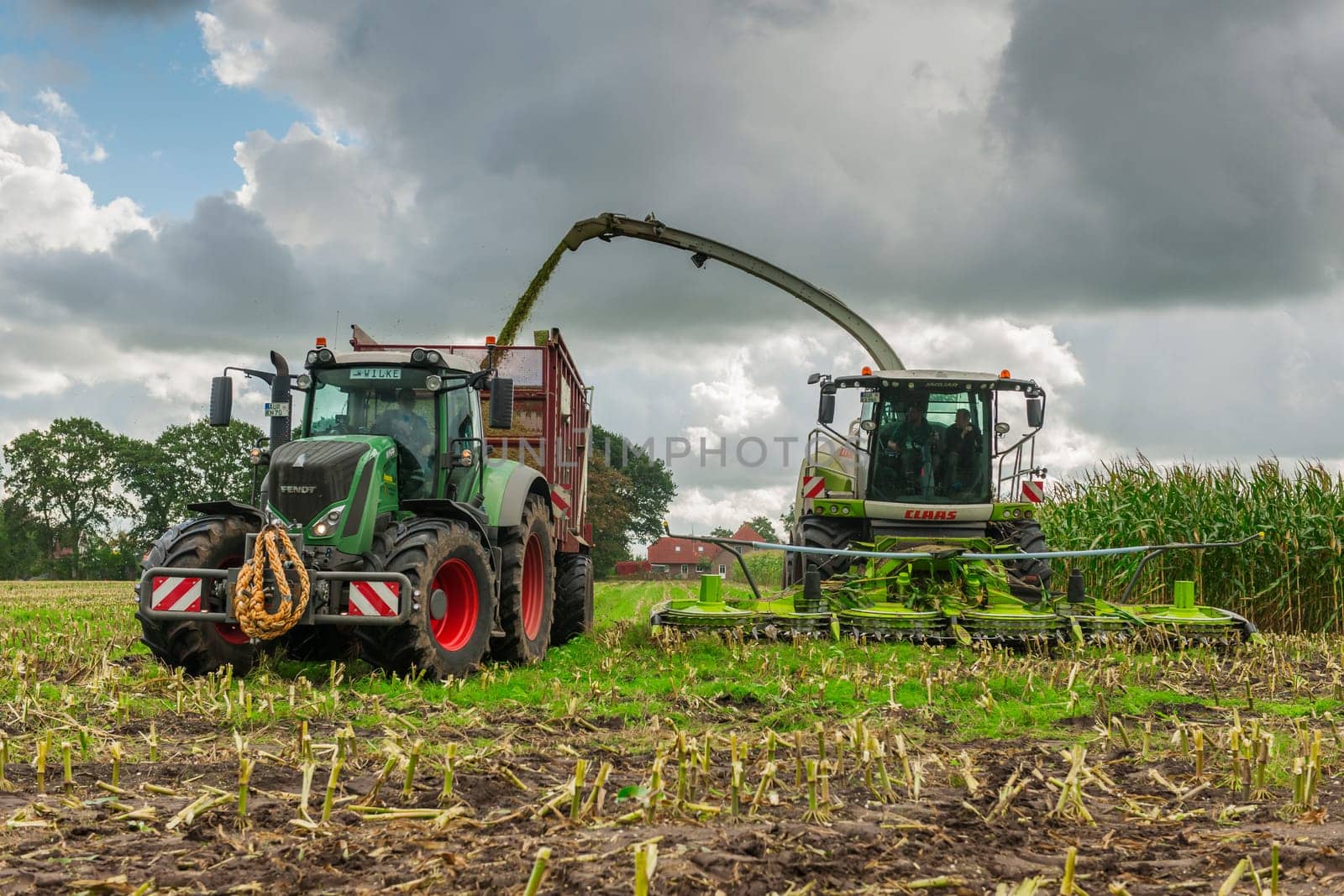 Esens, Germany - October 07, 2020: Corn harvesters consisting of corn chopper and tractor with tipping trailer under a heavily cloudy sky.