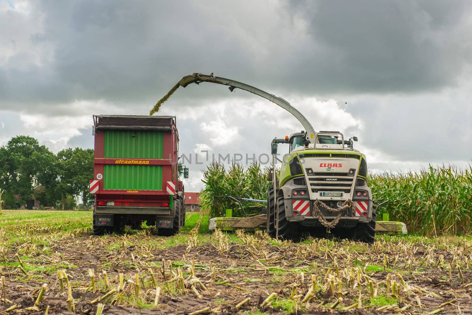 Esens, Germany - October 07, 2020: Rear view of two corn harvesters consisting of a corn chopper and a tractor with a tipping trailer under a heavily cloudy sky.