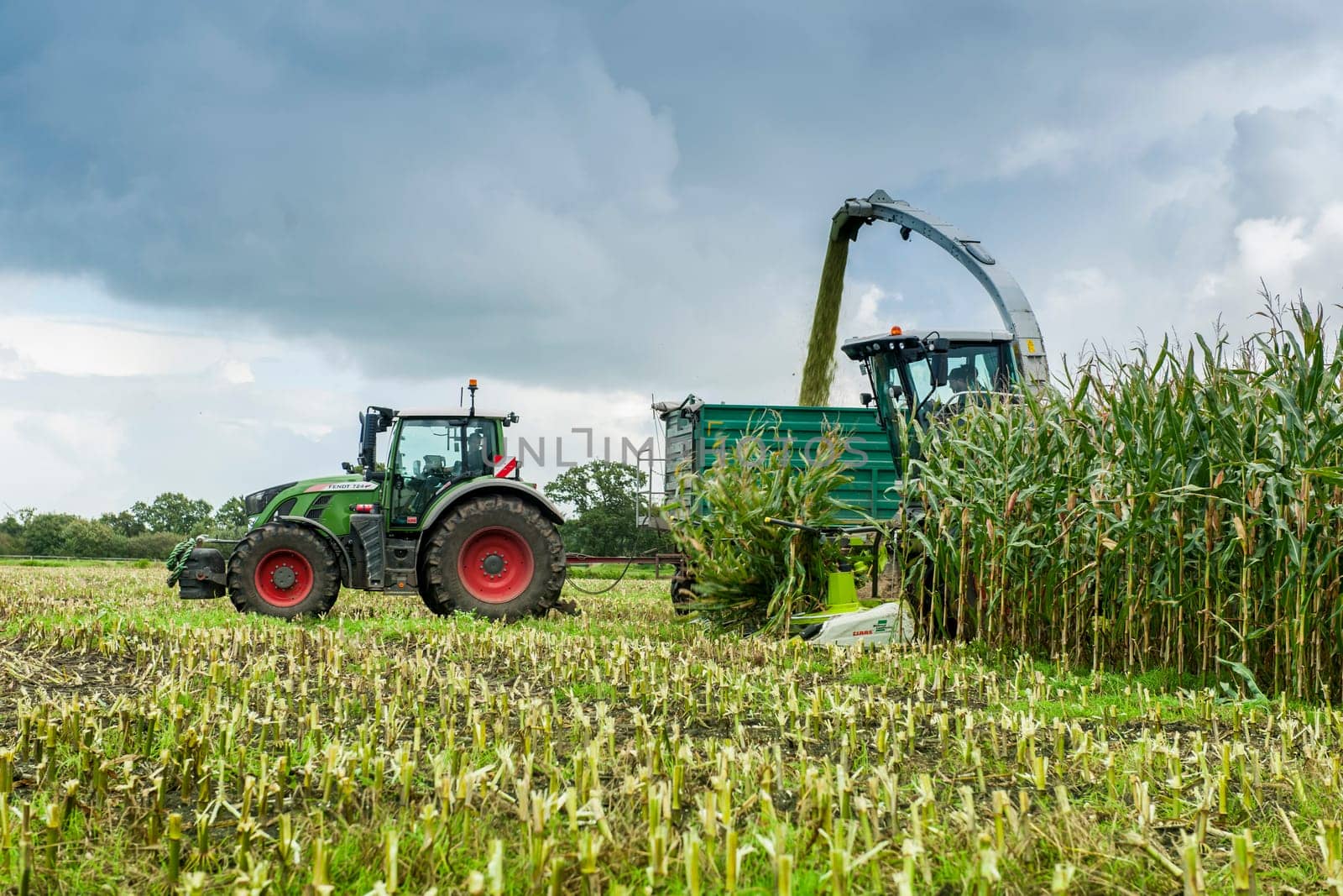 Esens, Germany - October 07, 2020: Side view of two perfectly working together corn harvesters consisting of a corn chopper and a tractor with a tipping trailer under a heavily cloudy sky.