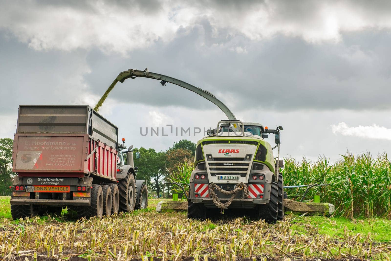 Esens, Germany - October 07, 2020: Rear view of two corn harvesters consisting of a corn chopper and a tractor with a tipping trailer under a heavily cloudy sky.