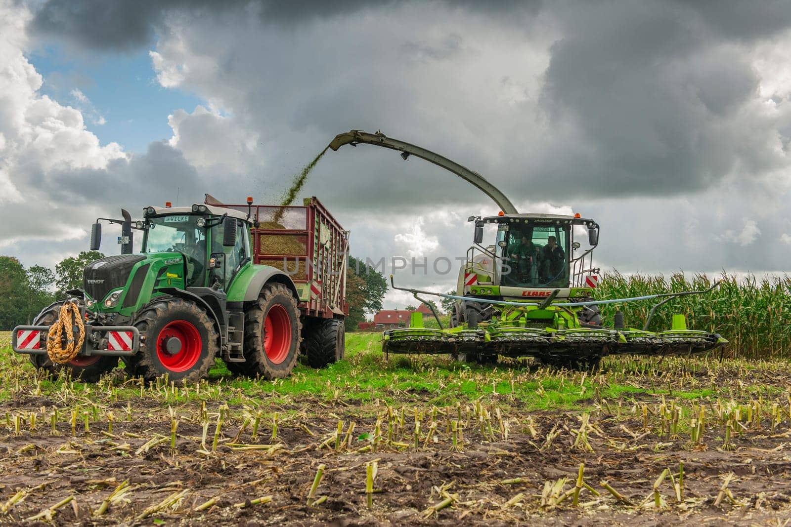 Esens, Germany - October 07, 2020: Corn harvesters consisting of corn chopper and tractor with tipping trailer under a heavily cloudy sky.