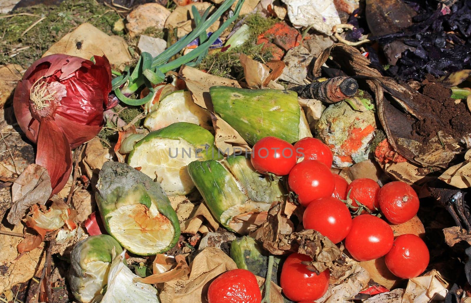 Discarded and spoiled food in a trash pile. Compostable organic waste