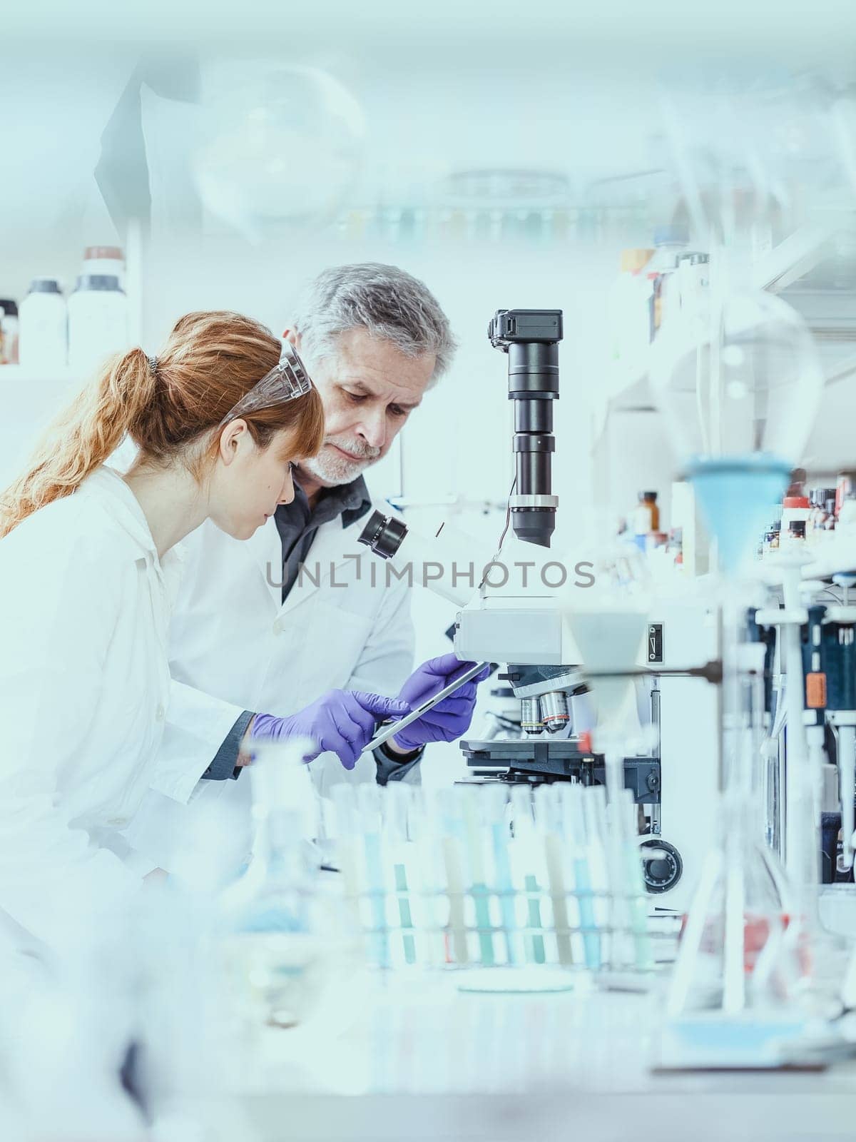 Health care researchers working in life scientific laboratory. Female research scientist and senior male supervisor looking focused at tablet computer screen evaluating and analyzing microscope image.