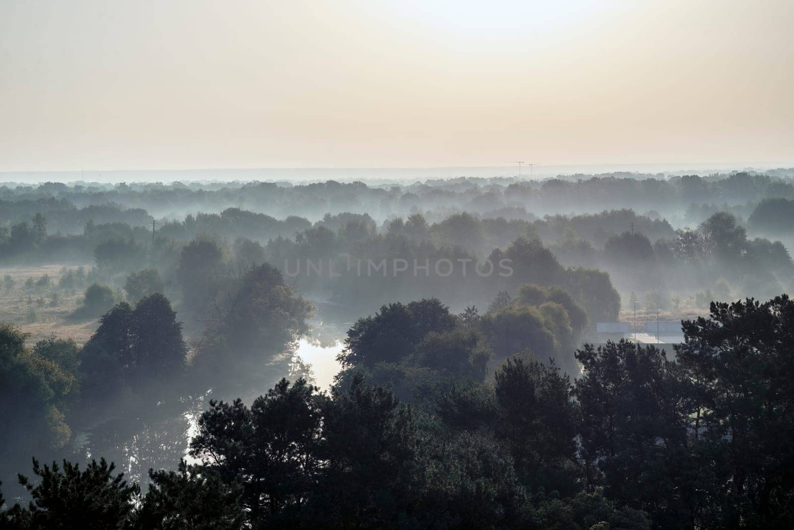 foggy landscape, over deciduous forest and meadow, early in the morning. water surface is visible in the distance between the trees, sun is reflected in the water surface. fog to the horizon. horizontal
