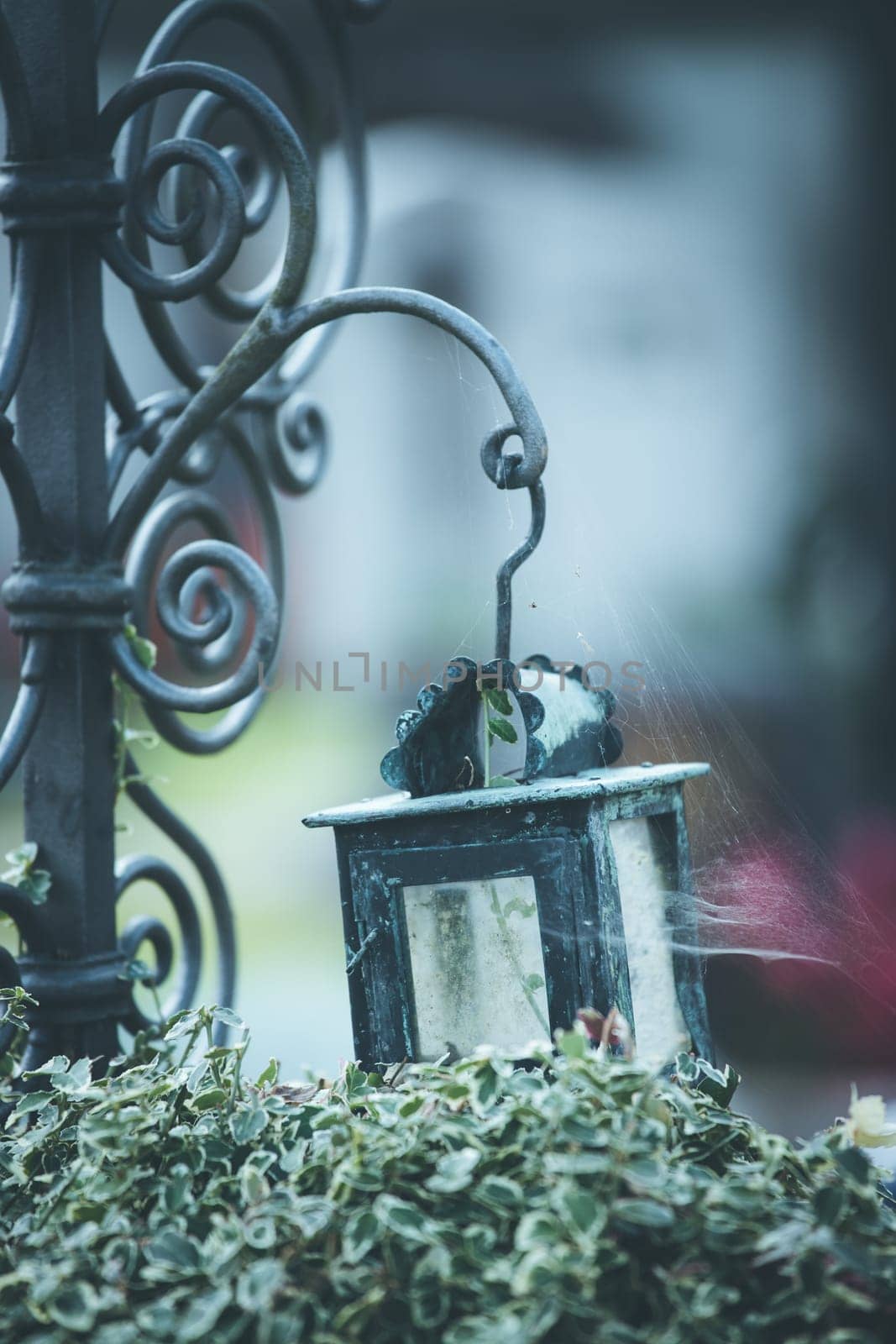 Candle in an iron lantern on a grave at a cemetery