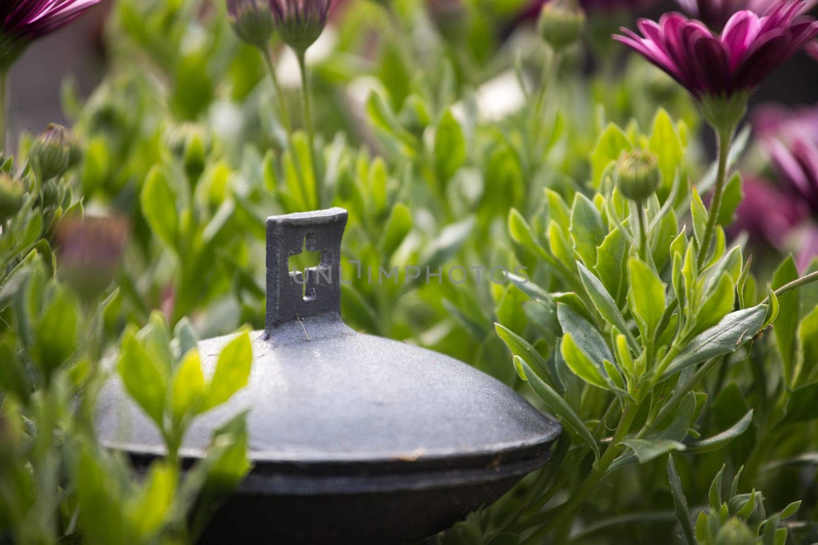 Close up of iron holy water bowl on a cemetery