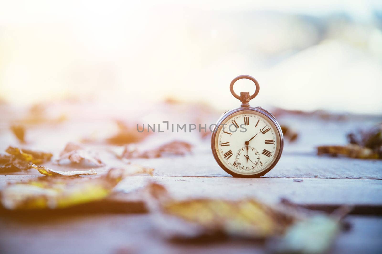 Vintage pocket watch on a wood board, colourful leaves, autumn