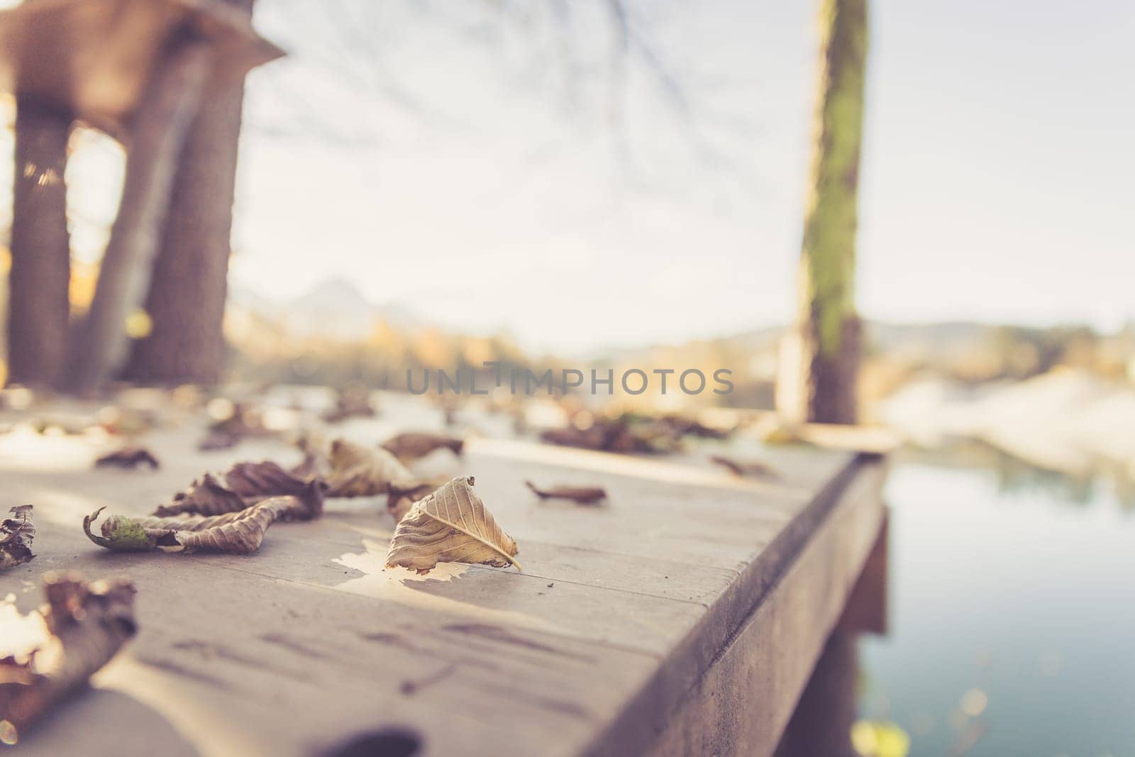 Colourful leaves lying on a footbridge, blurry autumn scenery in the background