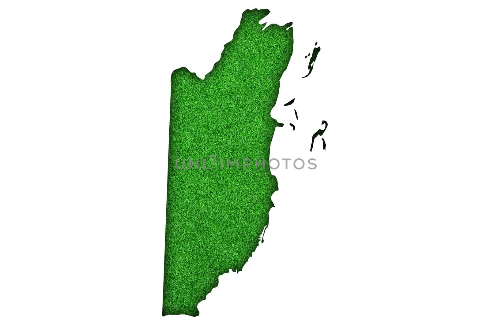 Map of Belize on green felt