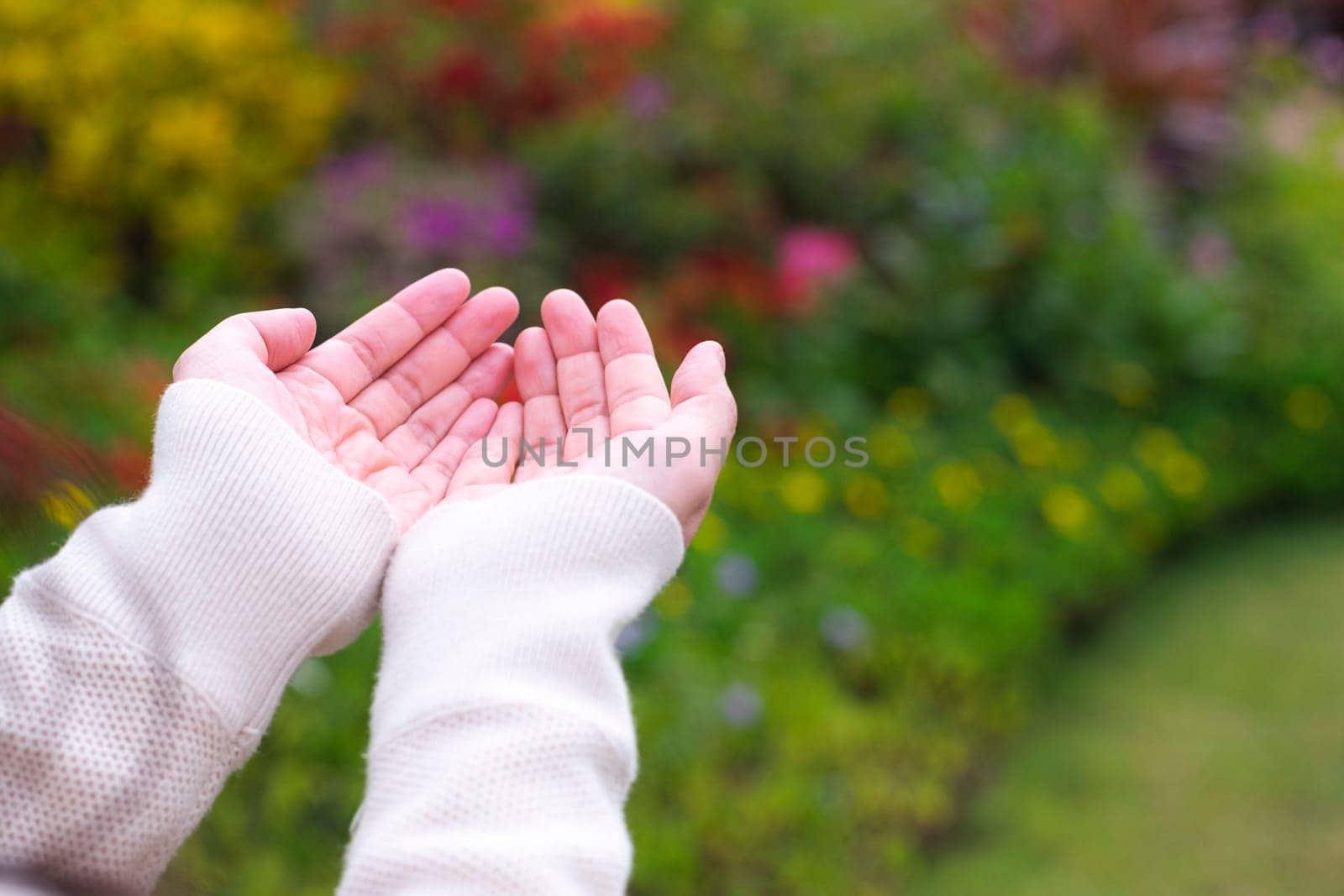 Movement with an empty hand or finger. Empty hand extending the arm to touch something on blurred nature background.