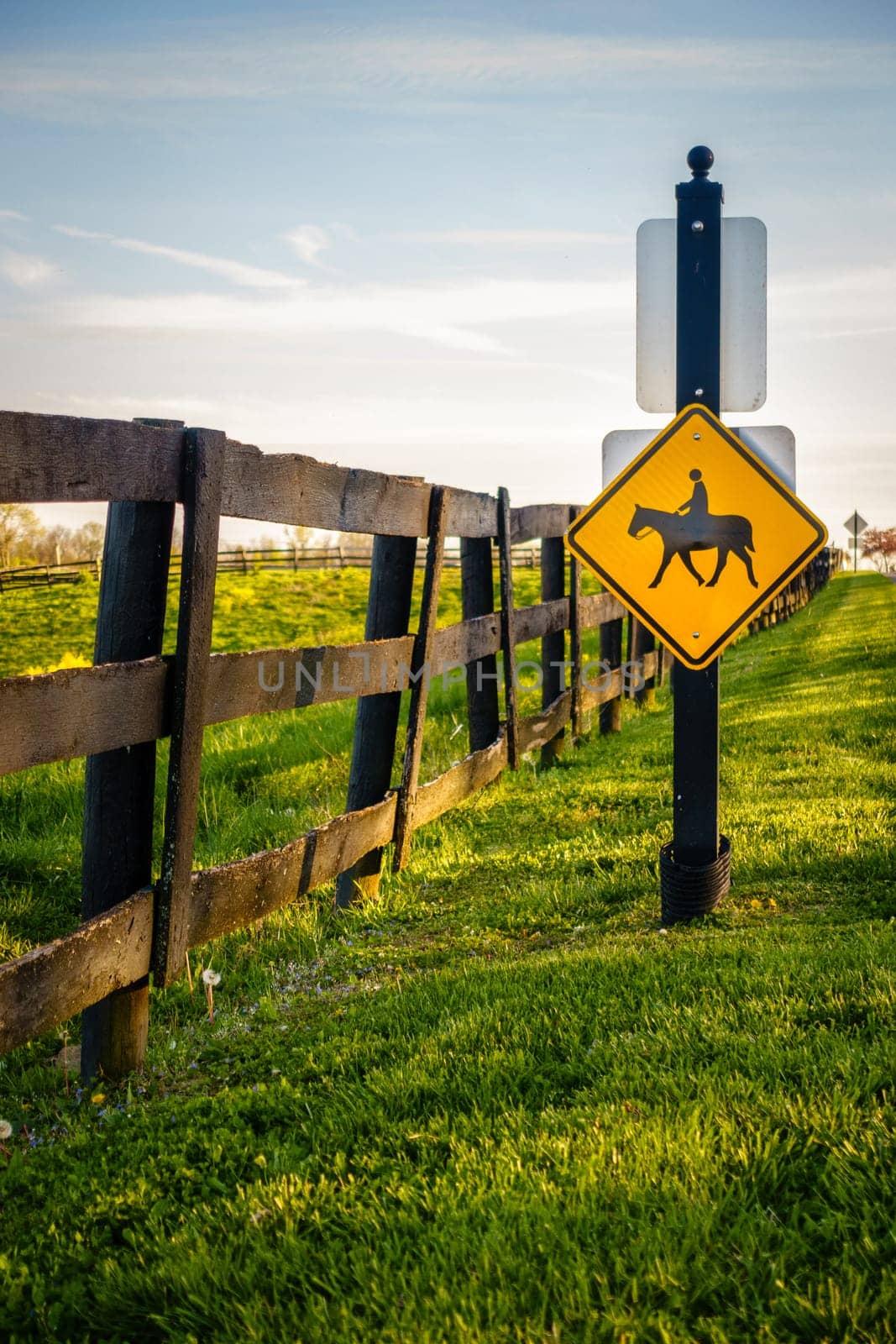 Equestrian crossing road sign by a horse farm in Central Kentucky