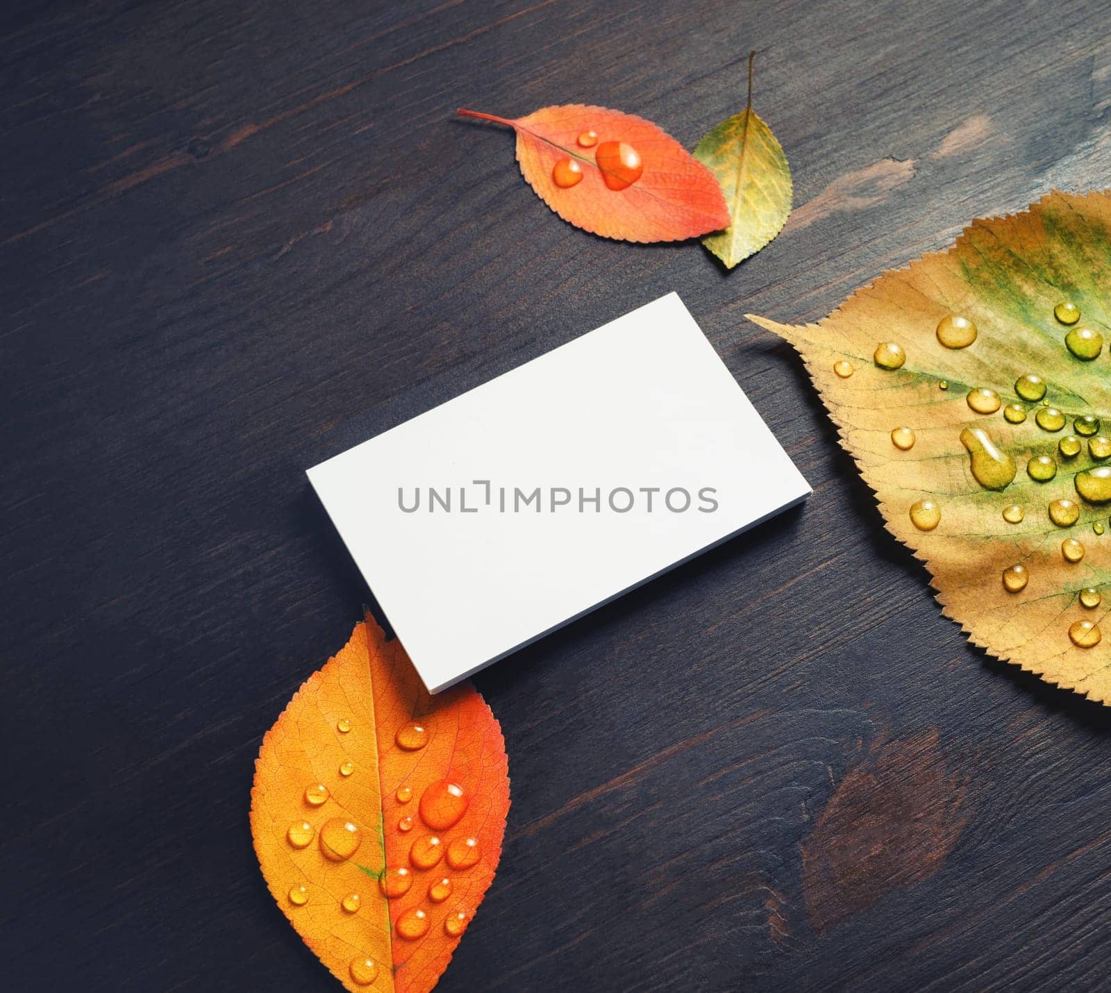 Blank business card and autumn leaves on wood table background.