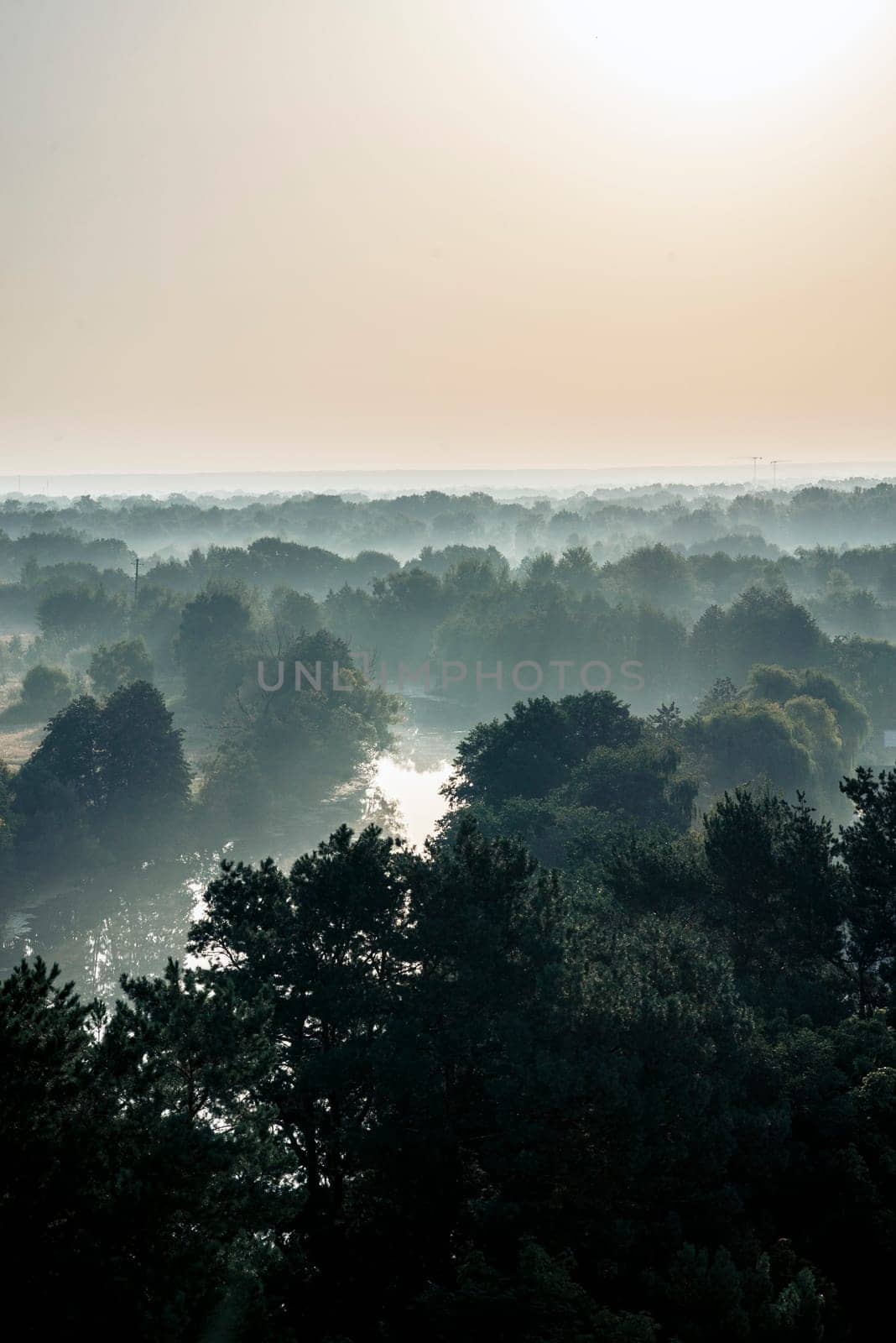 foggy landscape, over deciduous forest, early morning. water surface is visible in the distance between trees, sun is reflected in the water surface. fog to the horizon. vertical