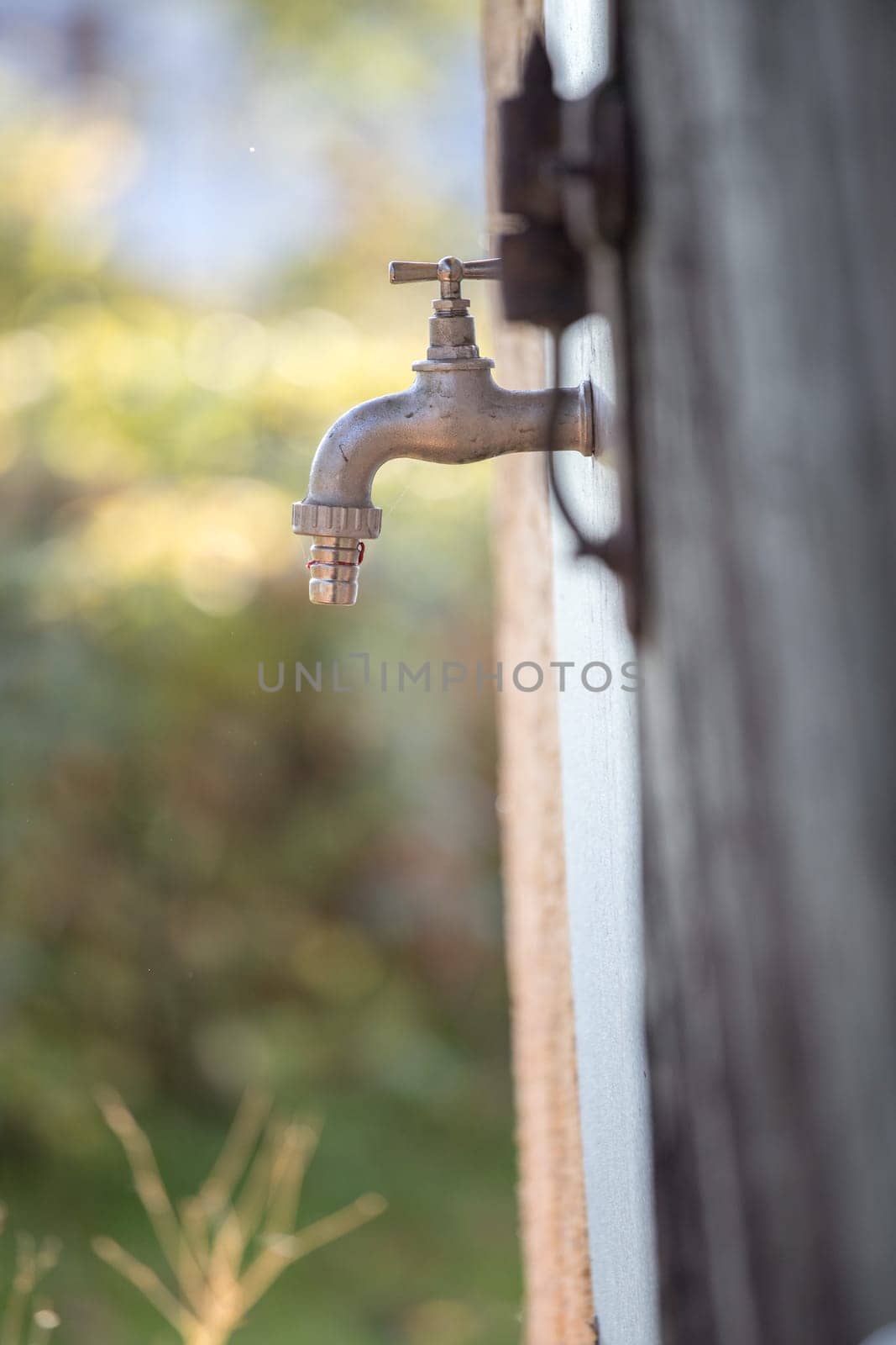 Close up picture of a pigot on a farm, outdoors