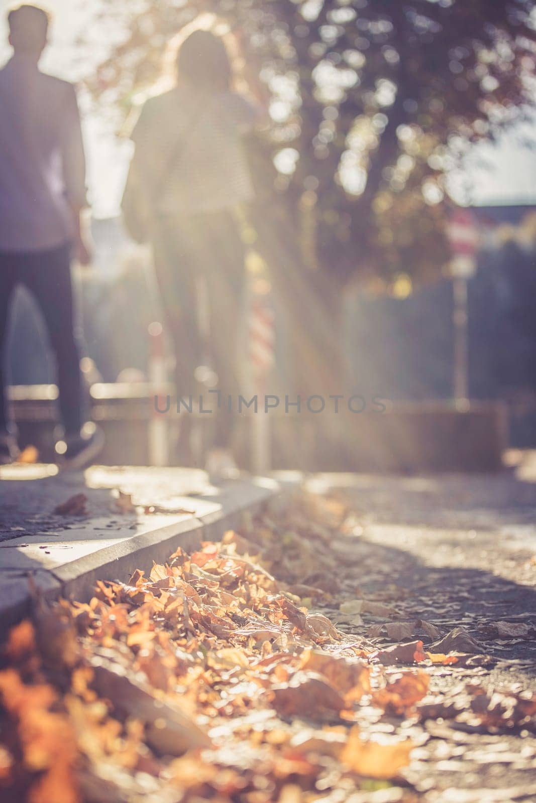 Young couple in autumn: Going for a walk, sunbeam