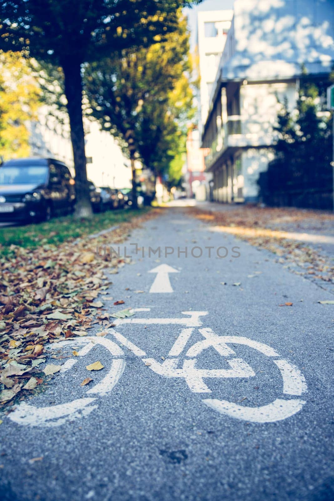 Urban cycle track, autumn with leaves on the floor