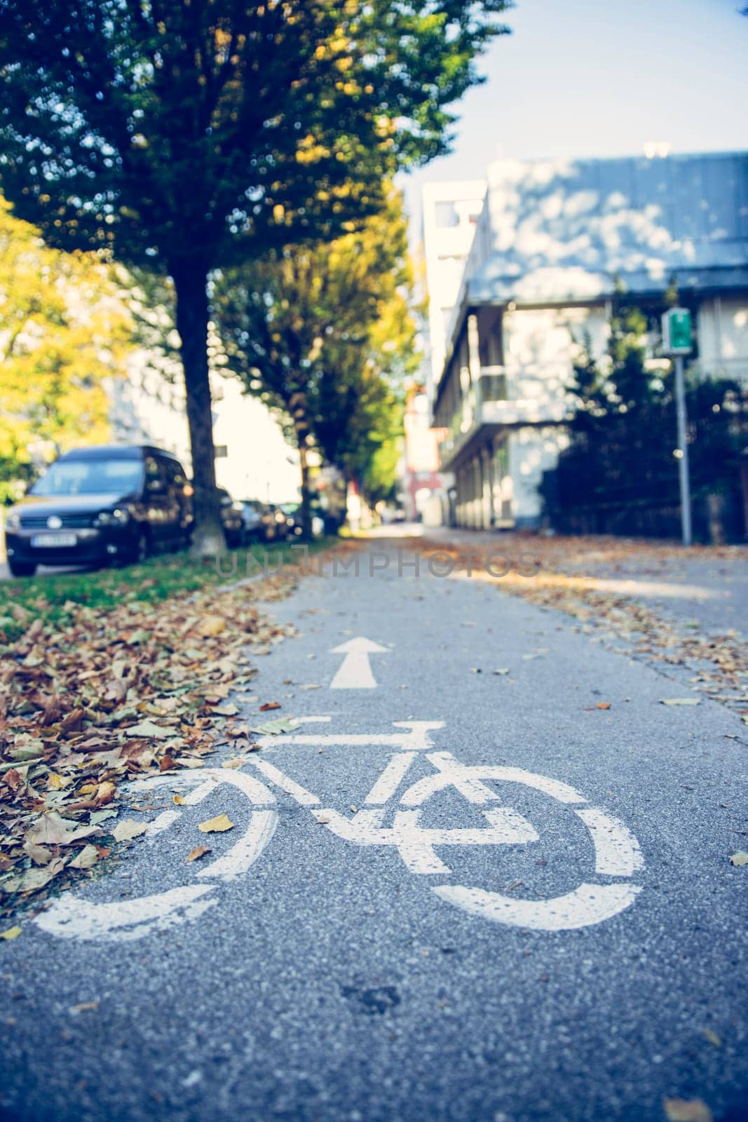 Urban cycle track, autumn with leaves on the floor