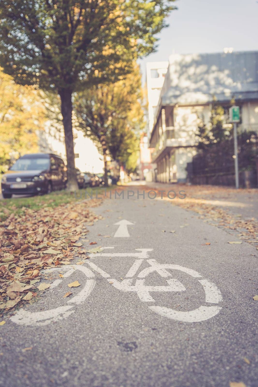 Urban cycle track, autumn with leaves on the floor