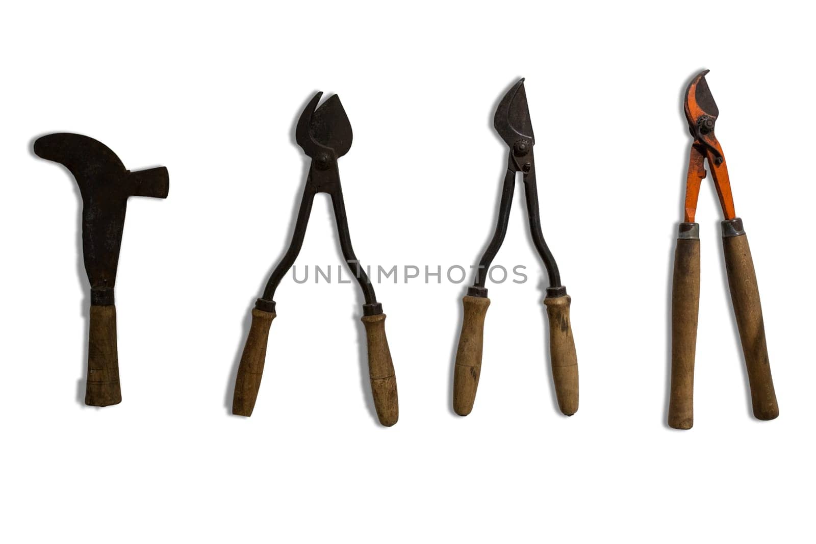 Several kind of old Pruning shears used for vineyard works. Isolated