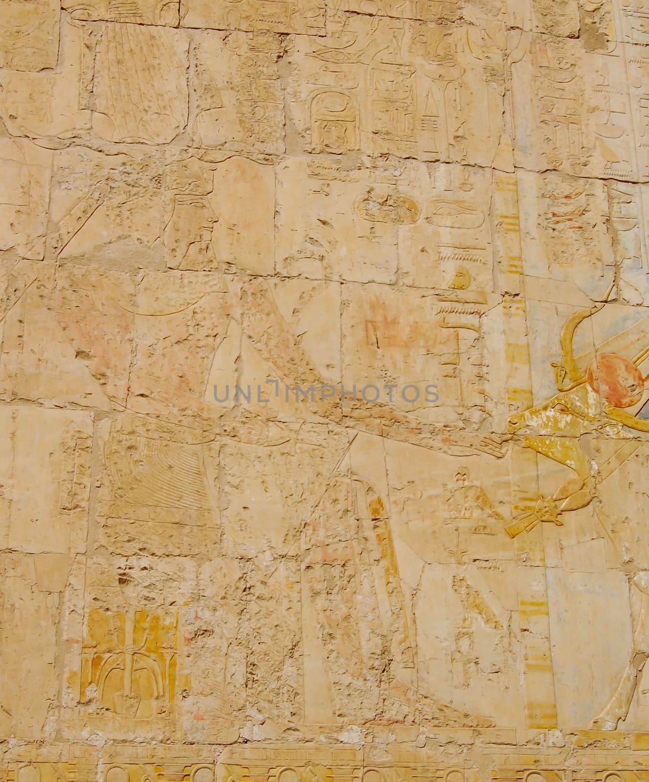 Ancient Egyptian relief on wall in Hatshepsut temple, Egypt