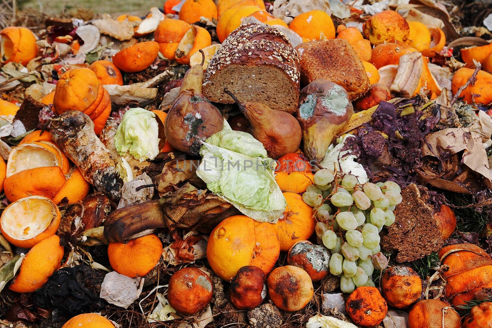 Discarded and spoiled food in a trash pile. Compostable organic waste