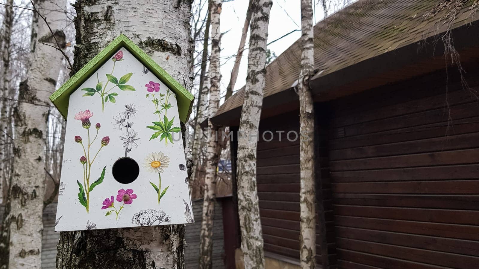 Ukraine, Kiev - April 17, 2020. Beautiful white painted birdhouse made of wood on a birch in the forest near a brown country wooden house. Homemade bird feeder. Art birdhouse on a tree in the garden