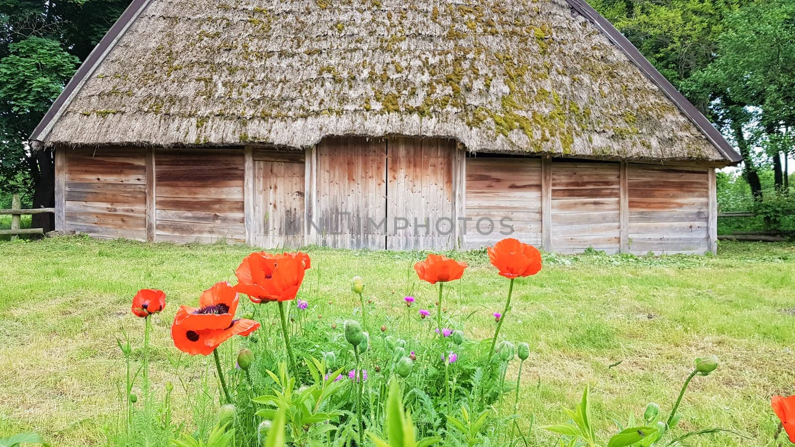 Ukraine, Kiev - June 11, 2020. Old peasant Ukrainian house or barn in the summer with a thatched roof in the village. Pirogovo Museum in the open air of different regions of Ukraine