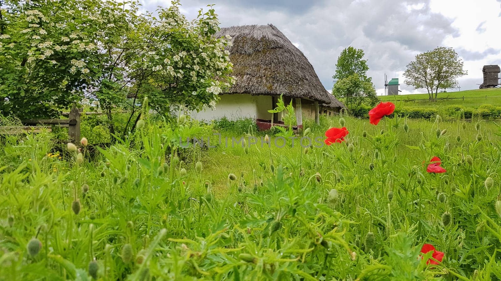 Ukraine, Kiev - June 11, 2020. The old house of peasants in the museum Pirogovo. National Museum of Folk Architecture and Everyday Life of Traditional Folklore Houses of Different Regions of Ukraine.