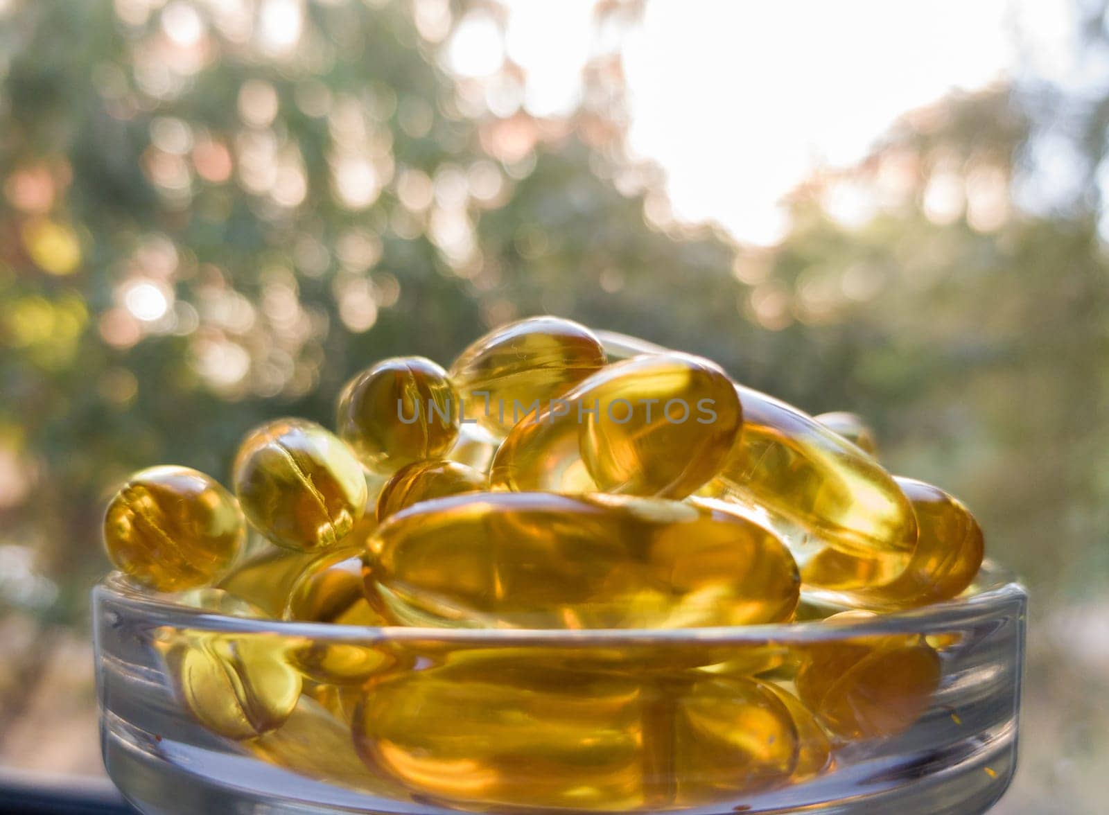 Fish oil capsules in a transparent plate. A lot of vitamin omega-3 against the background of nature and the park. Close up, high resolution product. Metabolism in the body. The body of calcium. A quick way to lose weight.