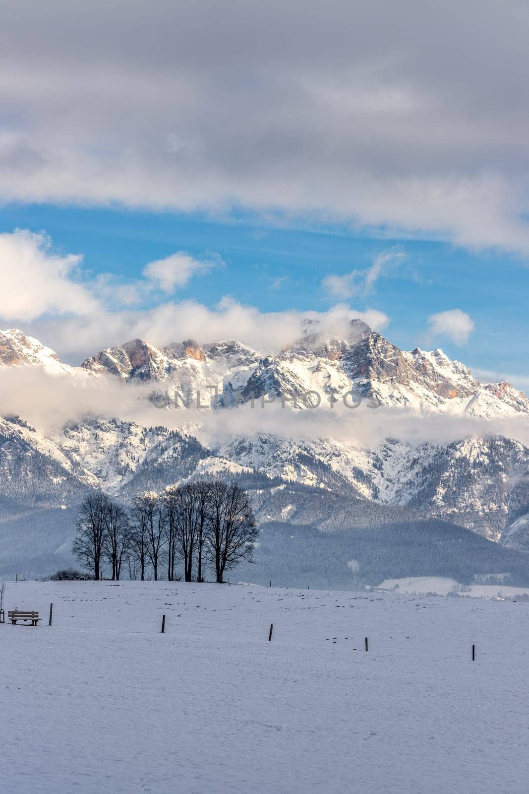 Snowy mountains, meadow and trees, landscape in Austria, panorama