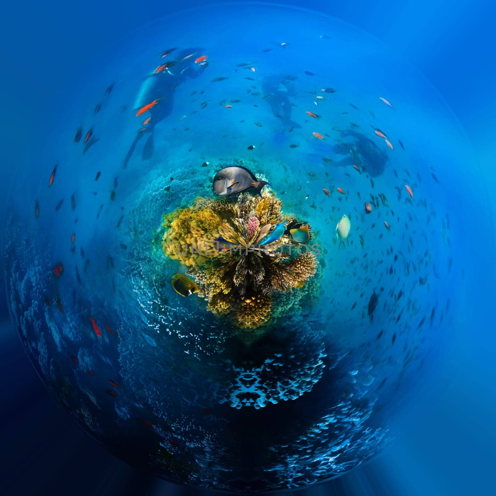 Group of scuba divers exploring coral reef. Underwater sports and tropical vacation.