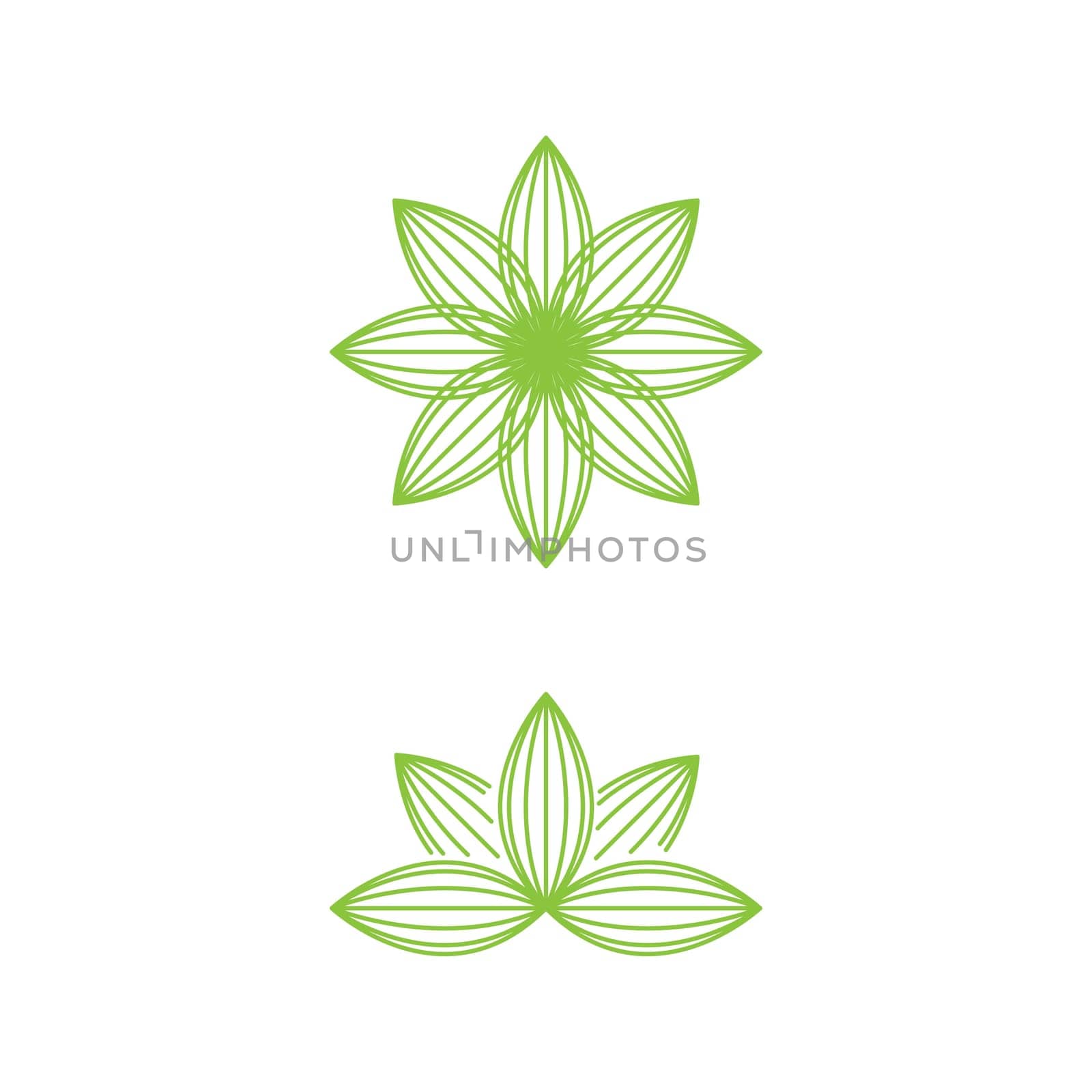 beauty lotus flower vector icon design template