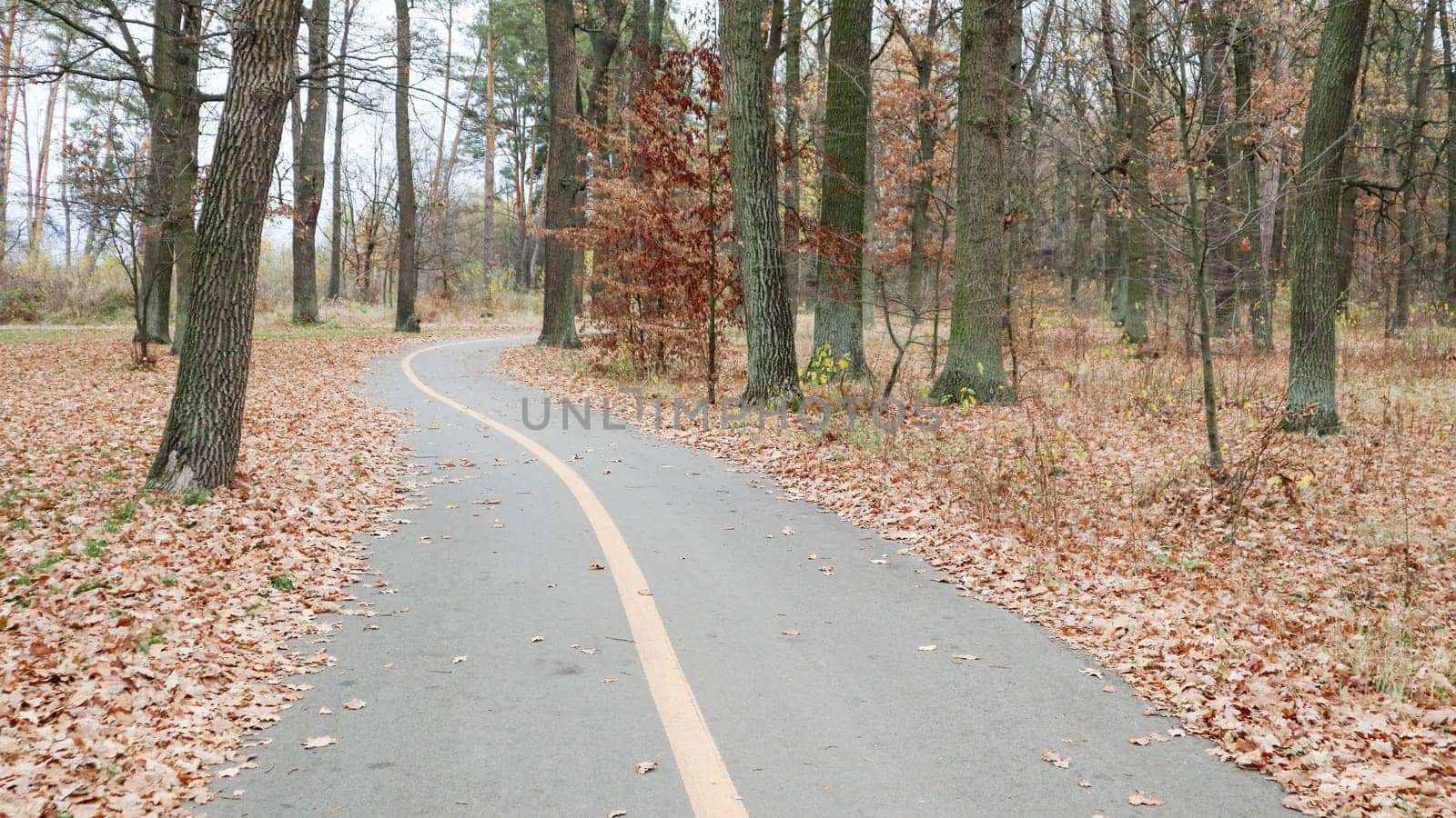 Walkway in the park with a yellow marking line on the asphalt. In the background, trees and bushes are already in yellow and orange leaves. Warm weather, sunny day. Autumn empty park without people.
