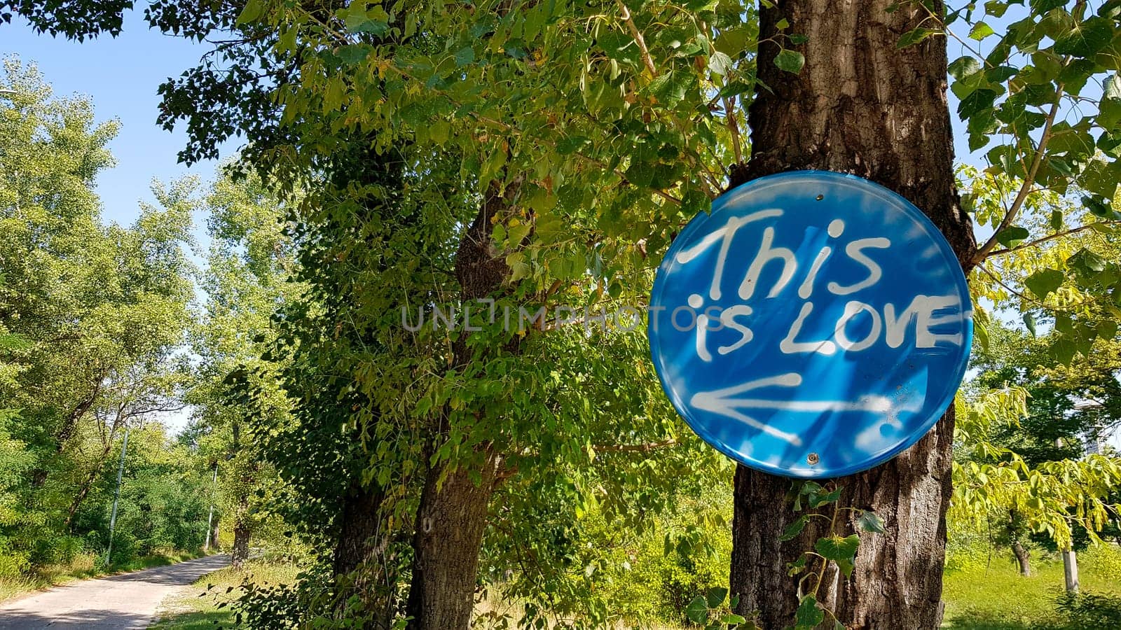The inscription in the woods on the signpost is love.