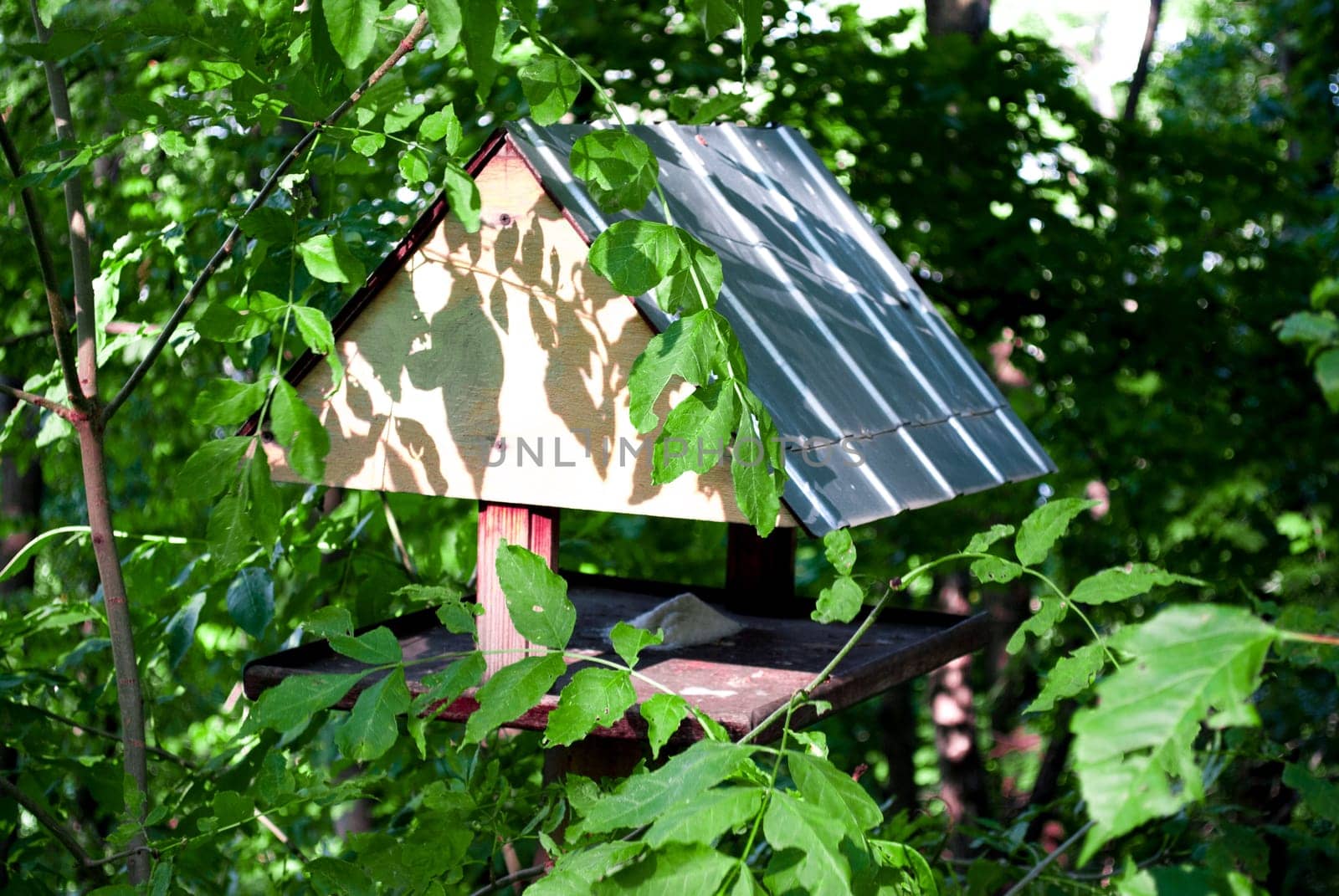 Birdhouse in the woods on a tree on a sunny day.
