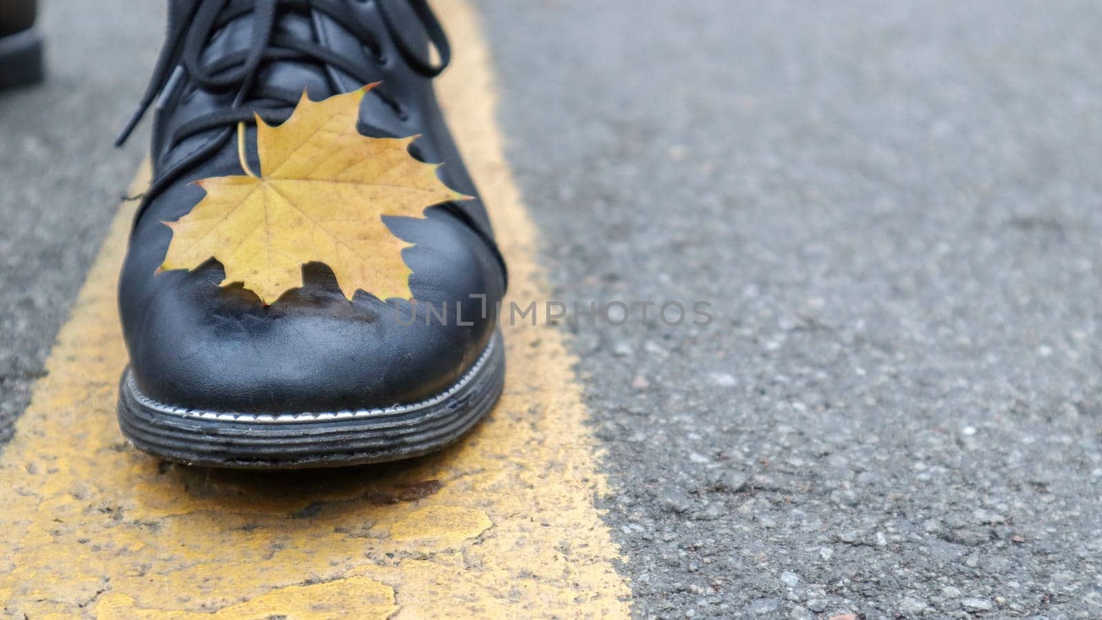 A beautiful combination of a yellow maple autumn leaf next to the yellow road markings and the legs of a girl in black boots in the park. Autumn concept, beautiful background with copy space.