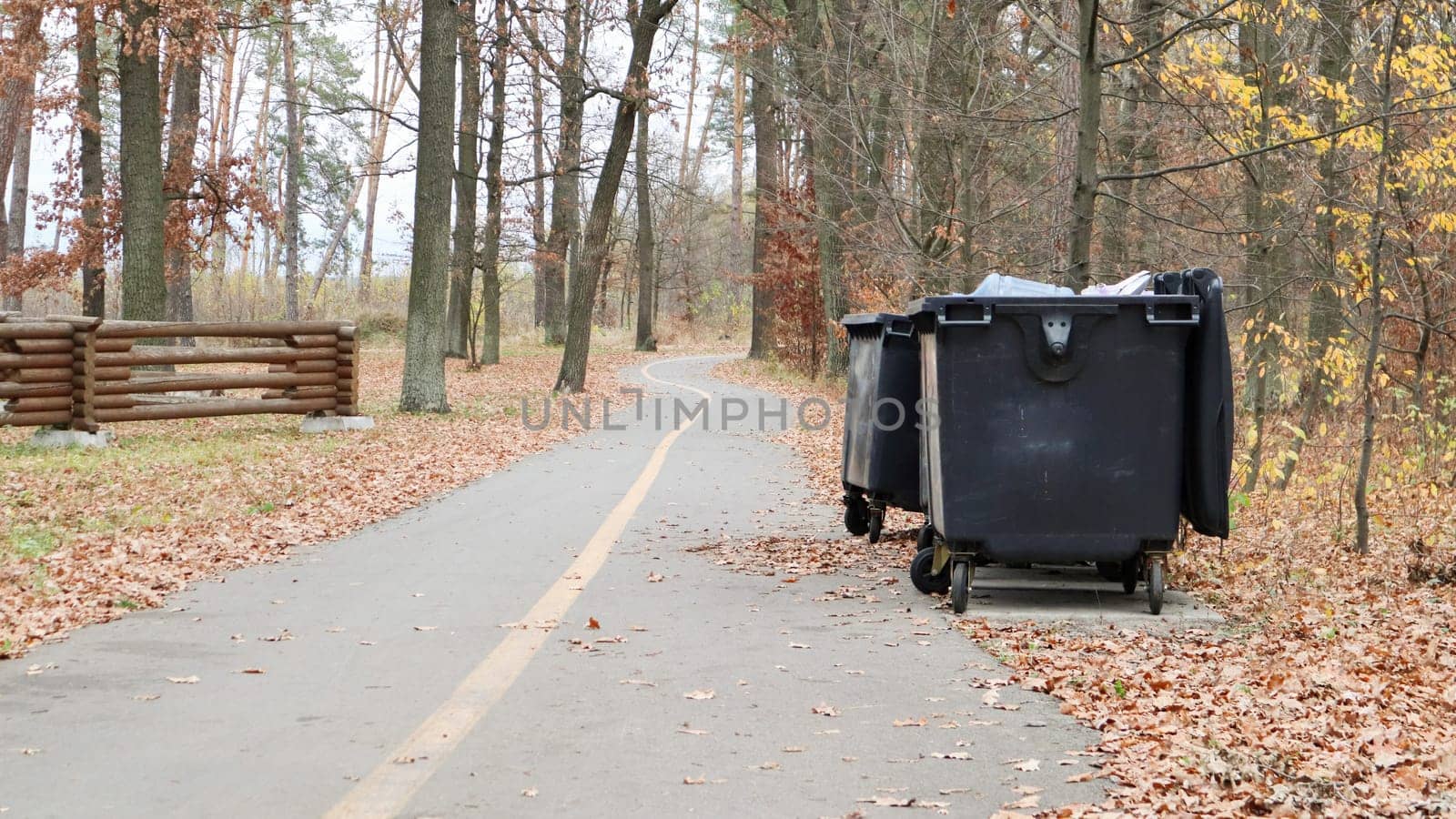 colorful golden autumn. walking alley in the autumn city landscape public park with vibrant orange-yellow foliage, large trees, street lamps, a trash can and nice weather on a nice day.