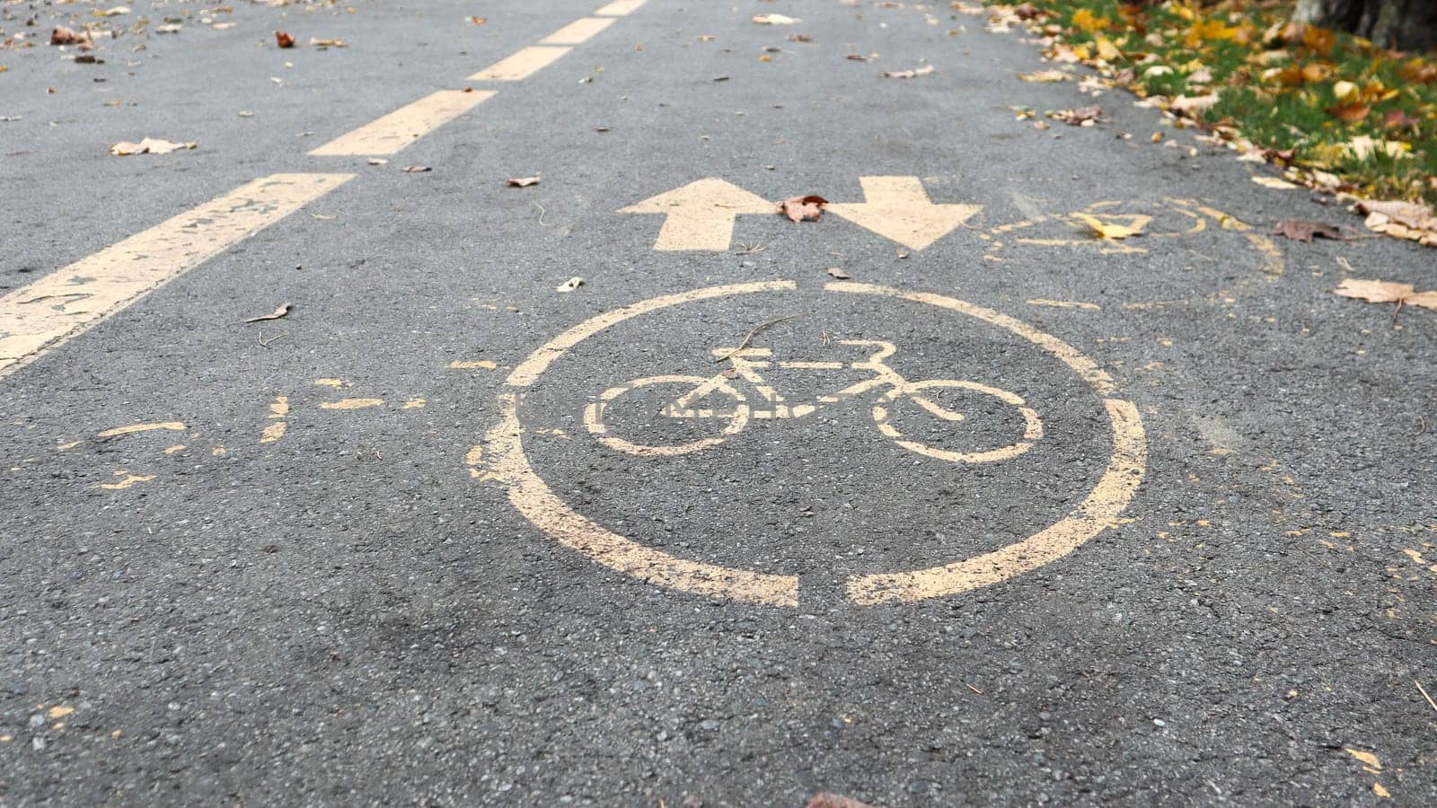 Bicycle lane on the side of a city road in the fall. Road marking in the form of two oncoming arrows on an asphalt path in the autumn park. Fallen leaves in the forest. Fall season concept.