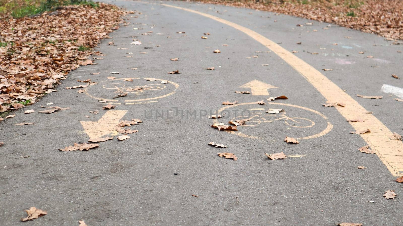 Bicycle lane on the side of a city road in the fall. Road marking in the form of two oncoming arrows on an asphalt path in the autumn park. Fallen leaves in the forest. Fall season concept.