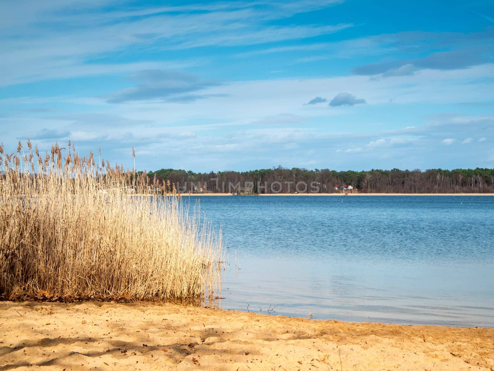 Idyllic shore landscape at Storkower See in Brandenburg Germany with dry grass in the foreground and a view over the lake to the beach landscape opposite.