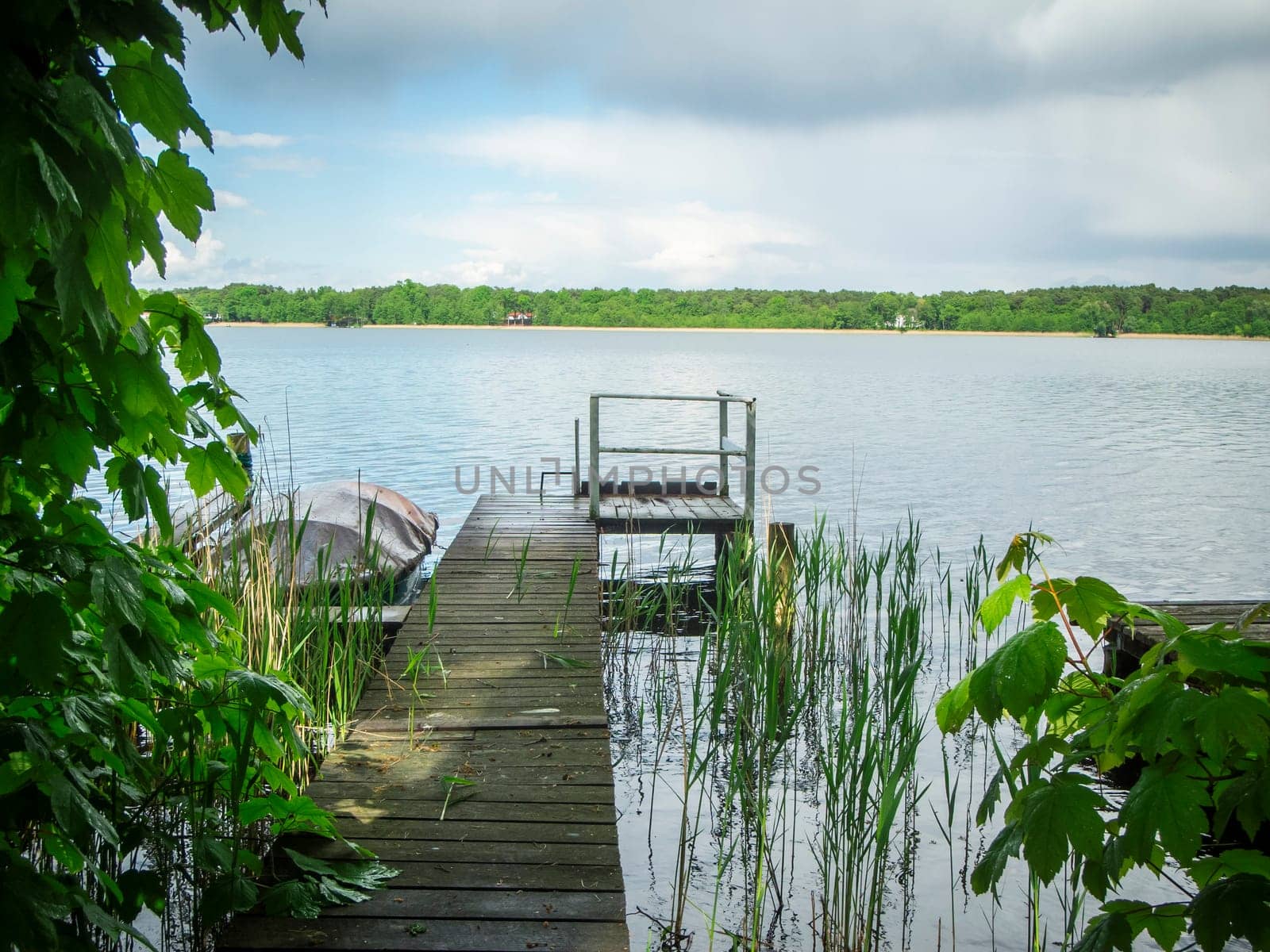 Idyllic summer shore landscape at Storkower See in Brandenburg Germany with a small jetty in the foreground and a view of the beach landscape opposite.