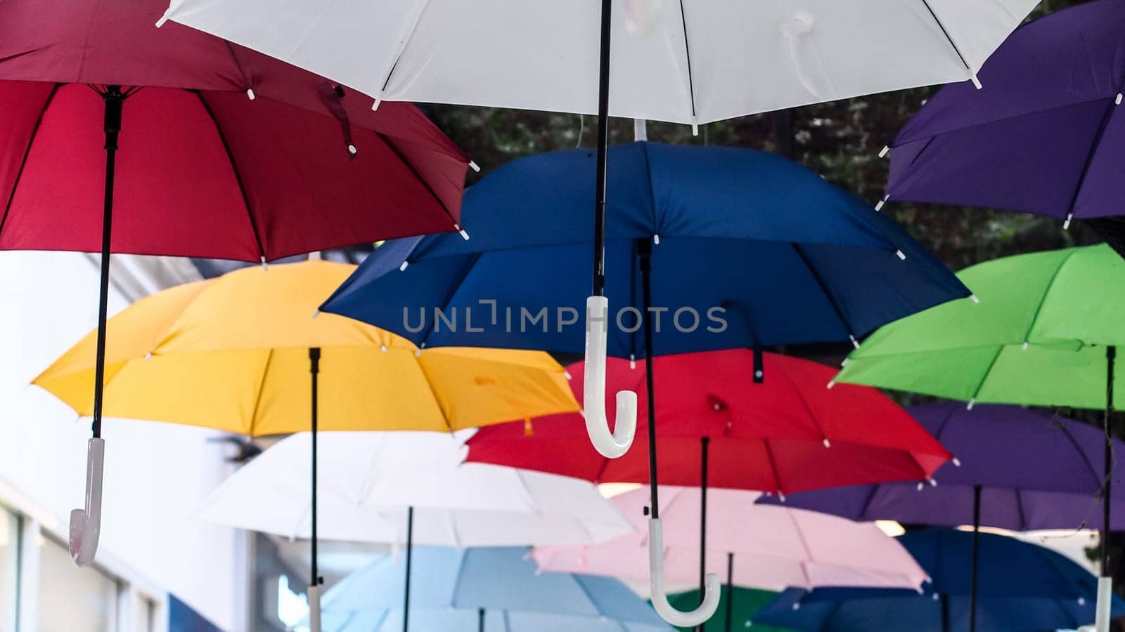 Street decorated with colored umbrellas. Lots of umbrellas coloring the sky in the city.
